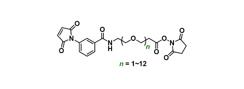 Mal-Ph-CONH-PEGn-NHS ester